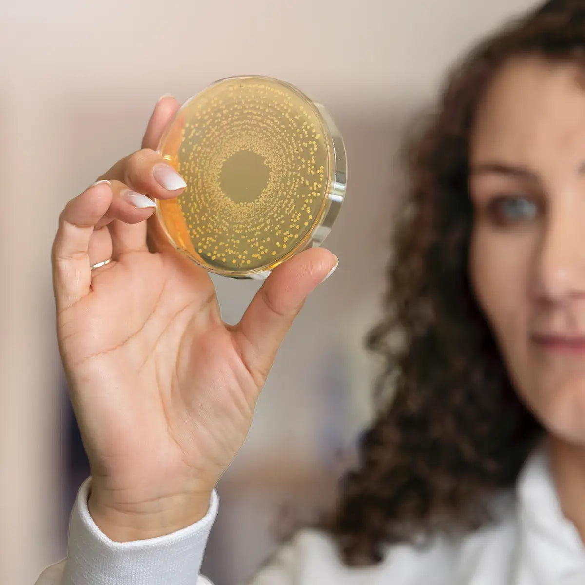 Eine Wissenschaftlerin hält eine Petrischale mit Bakterienkulturen (L. reuteri Prodentis) in die Kamera, um die wissenschaftliche Forschung zu verdeutlichen.